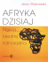 Afryka dzisiaj - Ebooki