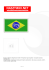 Brazylia, haftowana flaga Brazylii (Ordem e Progresso), flaga