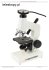 Mikroskop Celestron 40-600x z kamer± USB 640x480