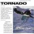 tornado - Archiwum magazynu Rejs