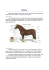 Konie - Zaruski