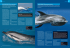 delfin białonosy delfin pręgoboki