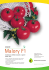 Pomidor Malory