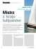 view pdf - Contest Yachts