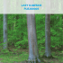 lasy iławskie plb280005