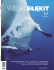 Wielki Błękit nr 1/04 - Dive-Away