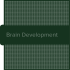 Brain Development: Conception to Age 3
