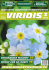 Viridis 13 - Magazyn Ogrodniczy VIRIDIS