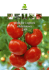 pomidor i ogórek szklarniowy 2009 - Profesjonalne nasiona warzyw