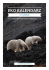 Pakiet edukacyjny - Dzień Niedźwiedzia Polarnego