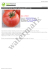 NICKERSON-ZWAAN Pomidor szklarniowy VP2 F1 250