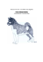 PIES GRENLANDZKI (Grřnlandshund / Greenland Dog)
