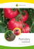 Pomidory - WordPress.com