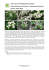 rodzina Brassicaceae (Cruciferae) – Kapustowate (Krzyżowe)