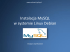 Instalacja MySQL w systemie Linux Debian