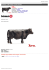 Schleich 13767 Angus czarna krowa