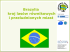 Wyszukaj mapę fizyczną Brazylii