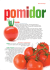 Pomidor - Pro-Test