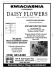 Daisy Flowers 8400.qxd