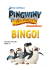 PingSerial Bingo instr A6 www