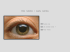 Oko ludzkie i wady wzroku