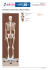 Szkielet Człowieka 180cm 53021